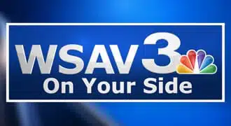 WSAV3 Logo - Buki Yuushuu